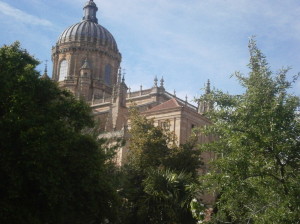 E guardate! Dall'orto si vedeva anche la spettacolare Cattedrale!